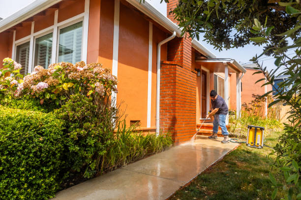 Best Roof Pressure Washing  in Lifornia City, CA